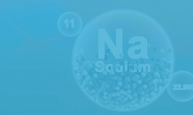 Sodium-Ion Battery Show, USA 2025