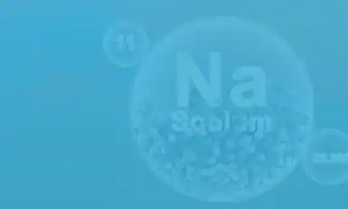 Sodium-Ion Battery Show, USA 2025
