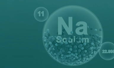 Sodium-Ion Battery Show, USA 2025