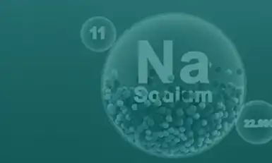 Sodium-Ion Battery Show, USA 2025